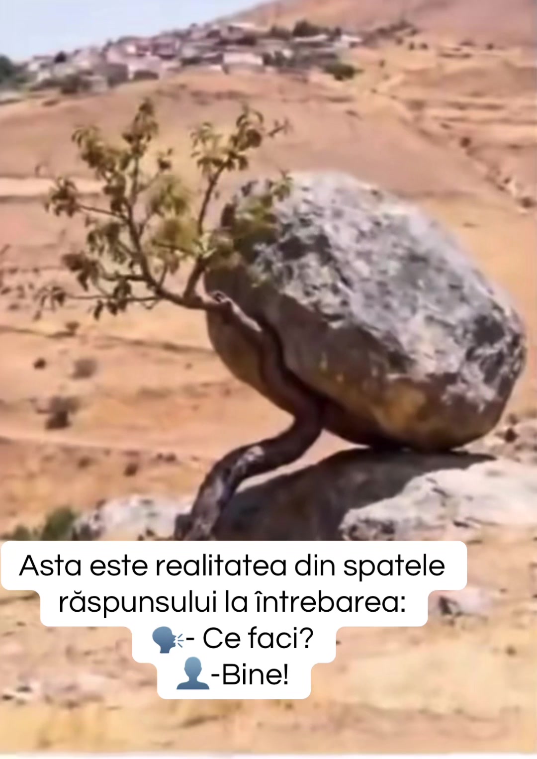 @Jocke Marian