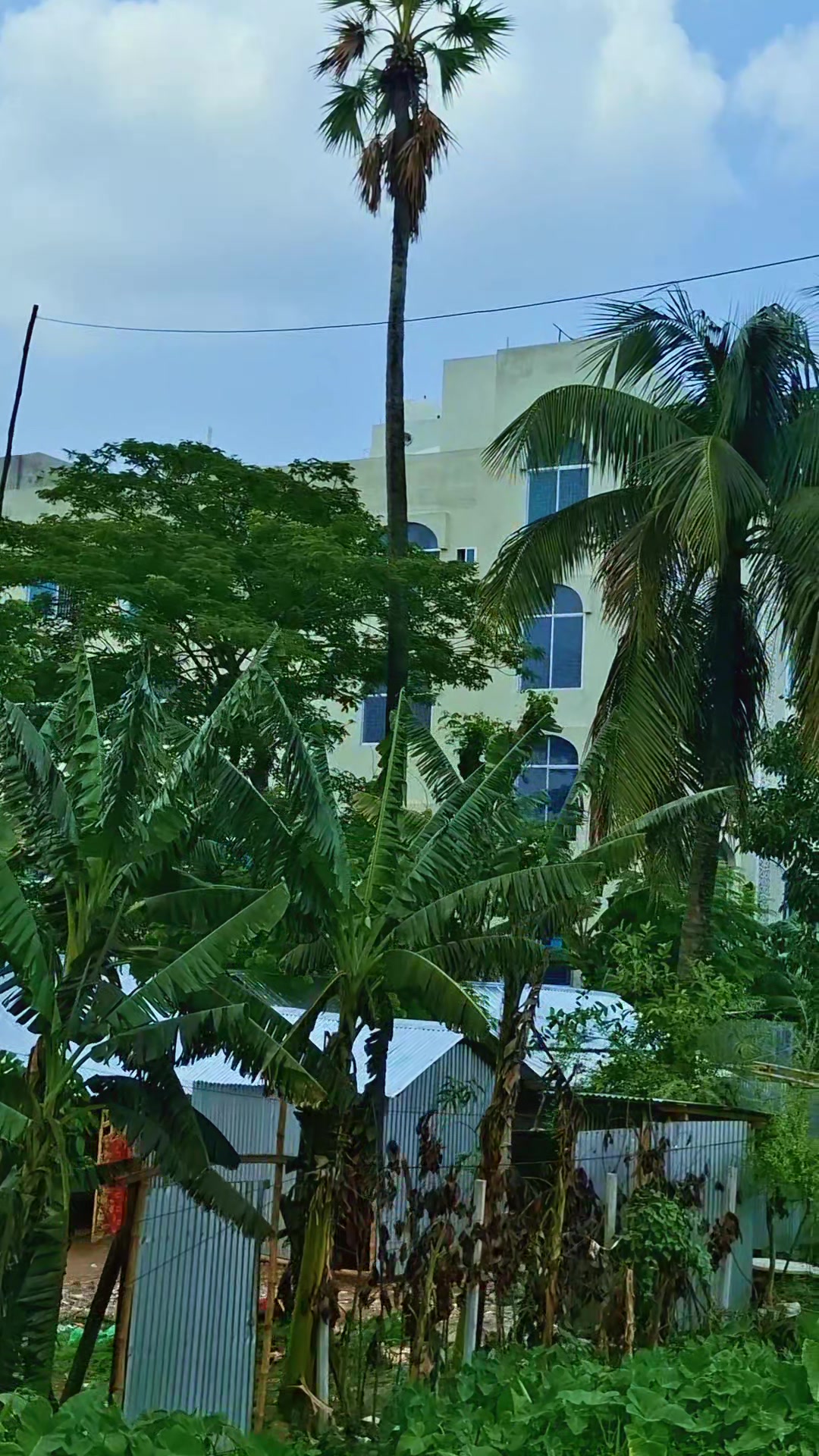 @আজাদ ভাই