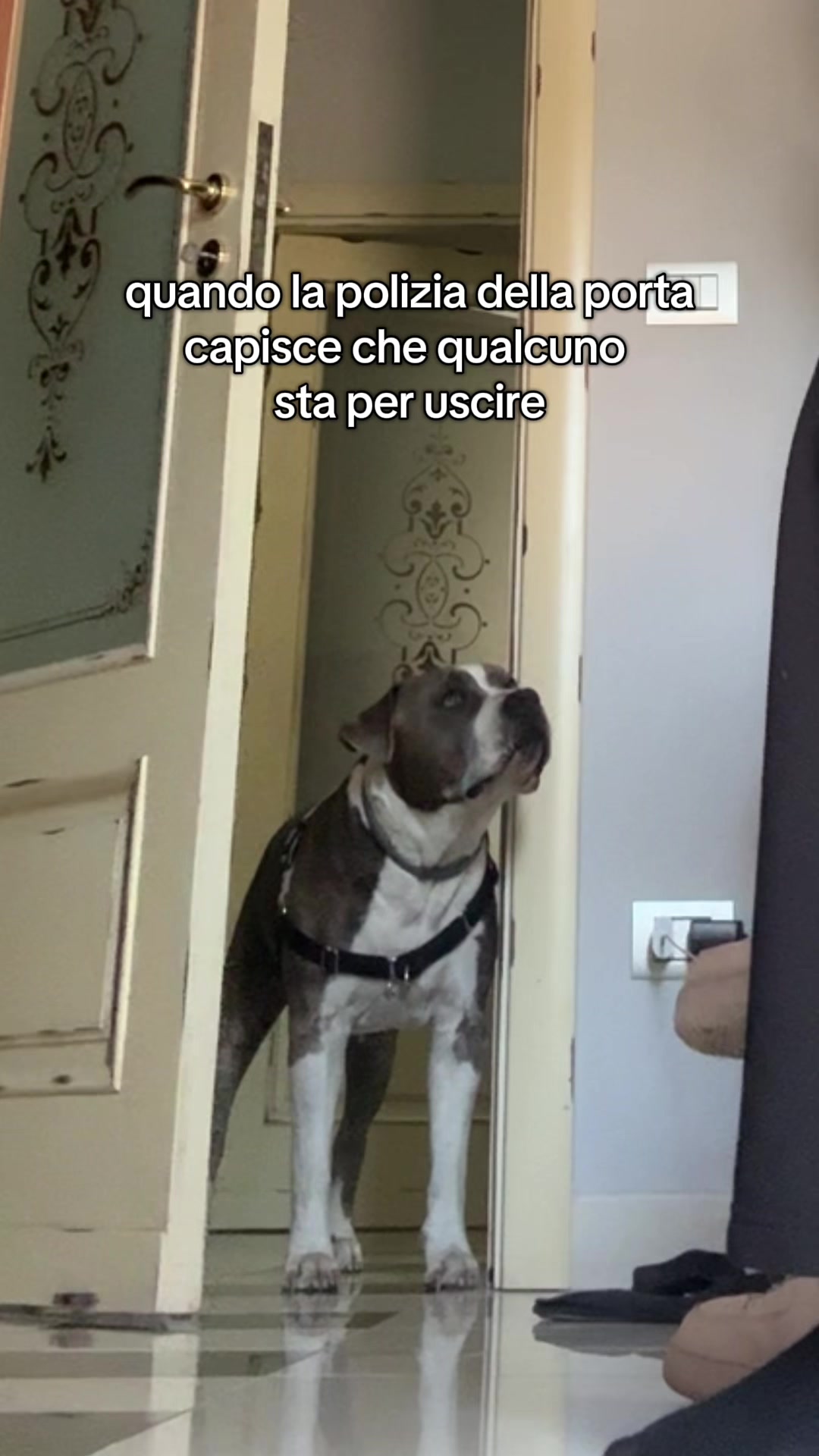 @RebbyChris+Romeo