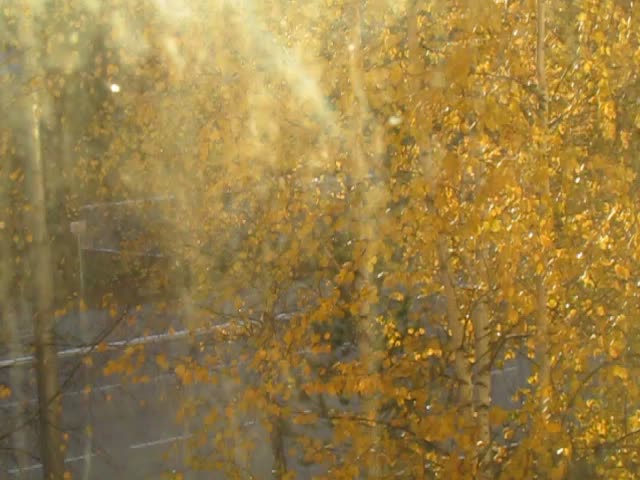 @ᅠ ᅠ ᅠᅠ ᅠ ᅠ .