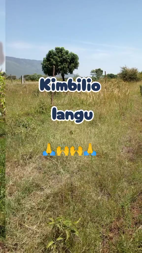 @Caroline kalondu
