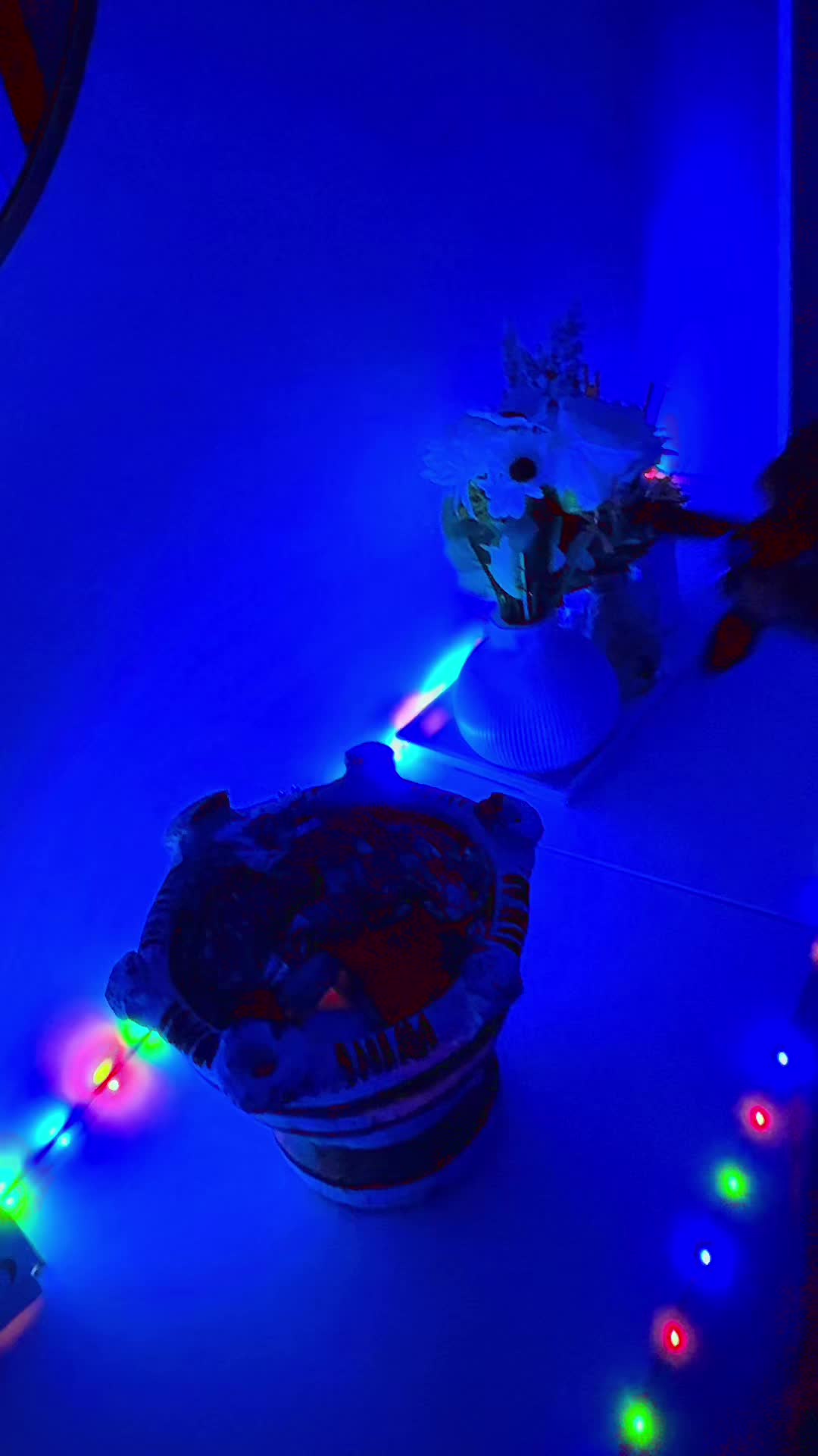 @bakhoural_soultana