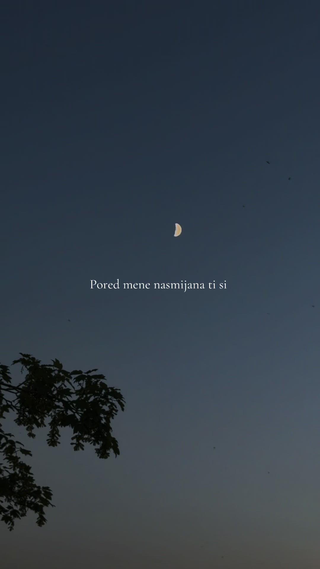 @Balkanvibe