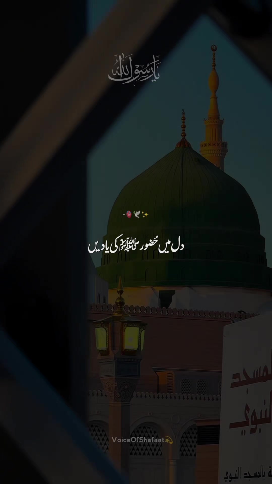 @VoiceOfShafaat💫