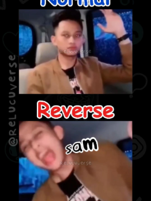 @ReLucuVerse