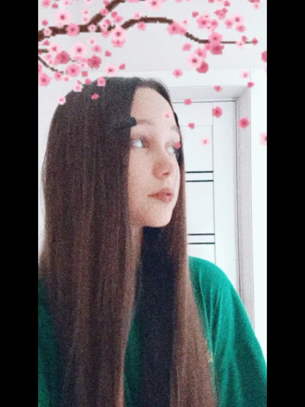 @dashixx