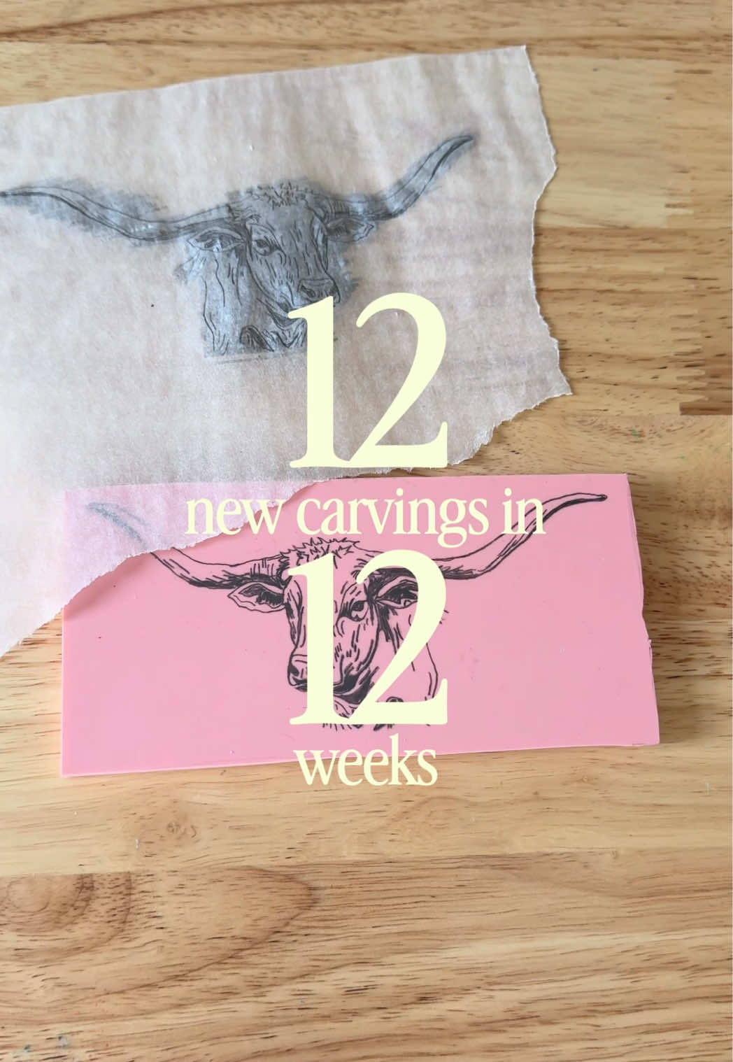 @Caroline Herzog | Art