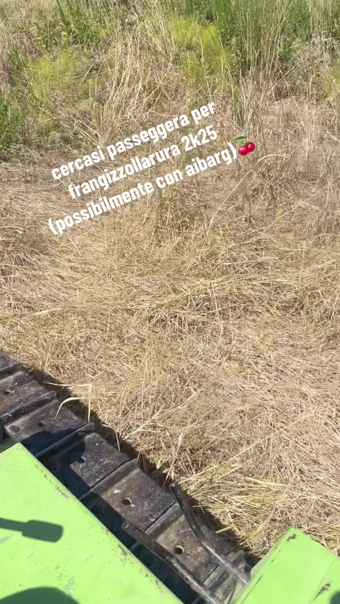 @piersi