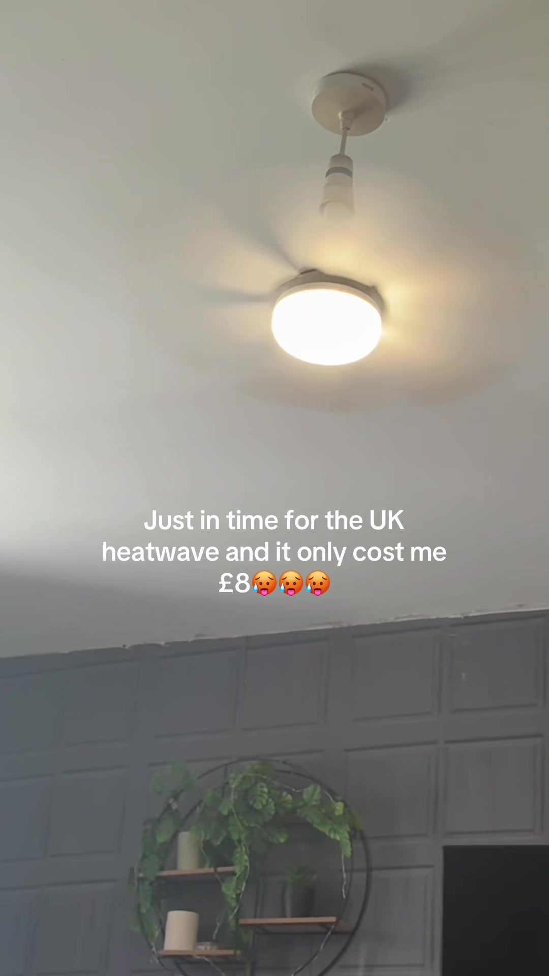 @Reegan Moore