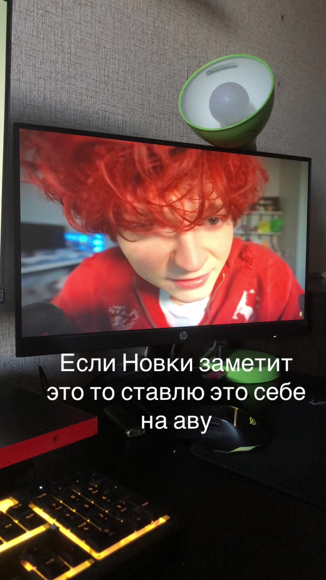 @Тапки Новки