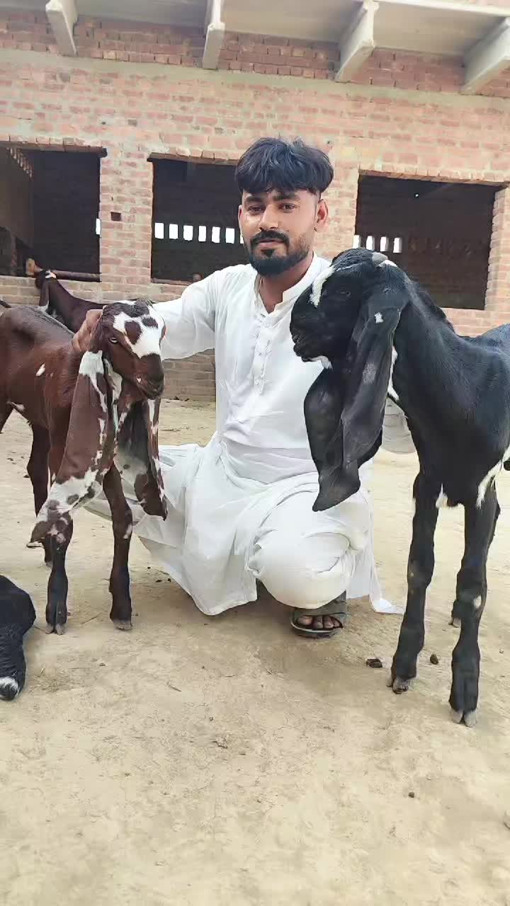 @Sufyan Gujjar