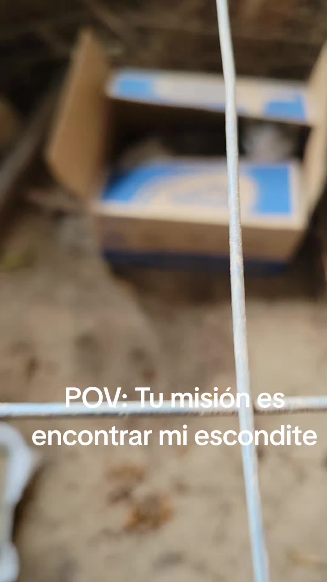 @lucymanzano