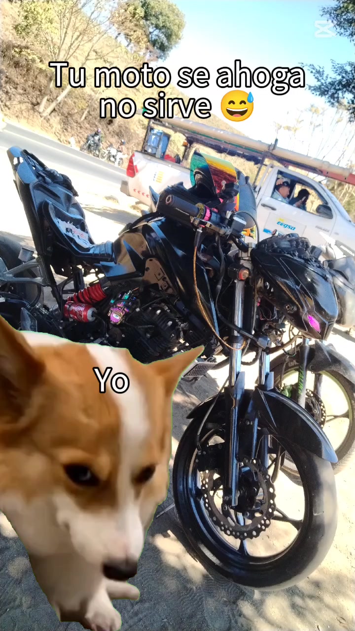 @ðáð¶ðð²ð¿ðŠðŠ