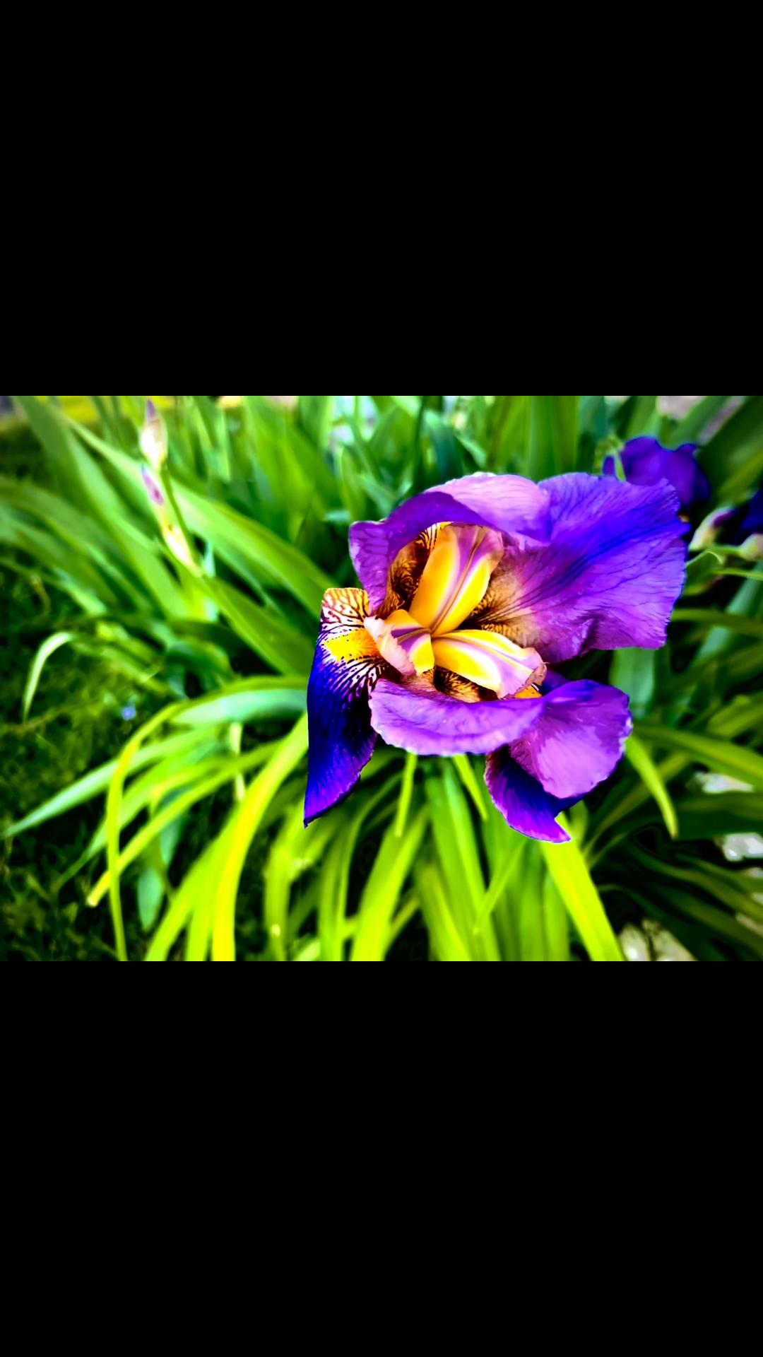 @Captmejan-