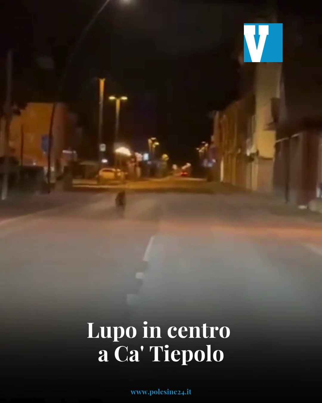 @La Voce di Rovigo