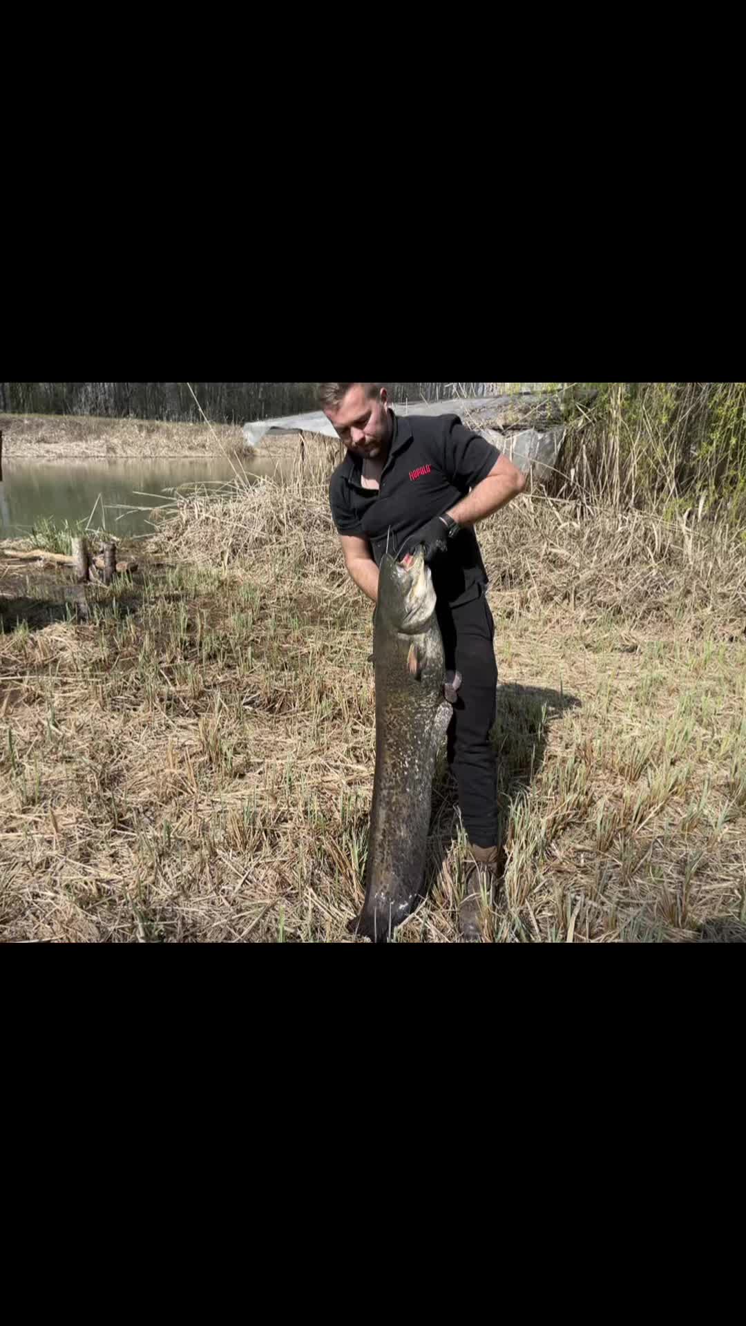 @Galifamili.carpteam
