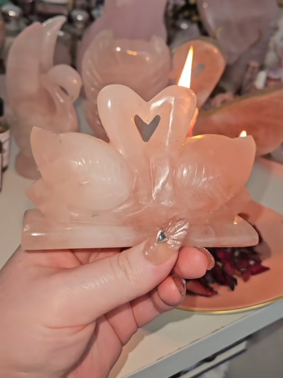 @Cinnamon Girl 🦢✨️🪞🫧