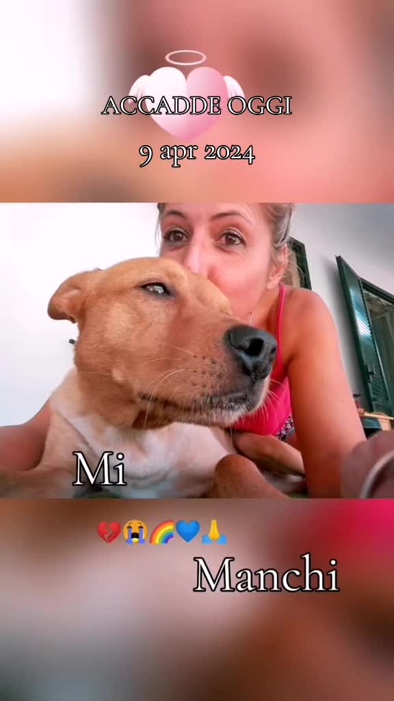 @suocera mary❤️
