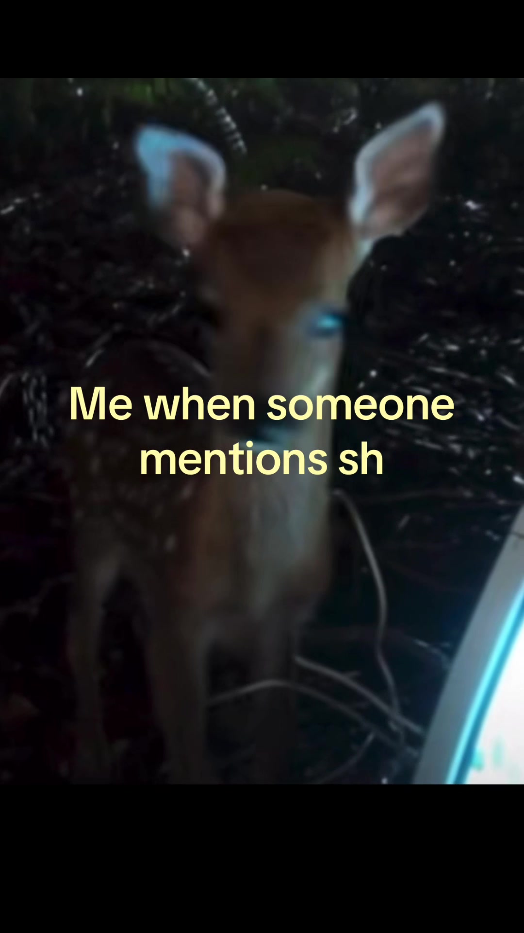 @._.