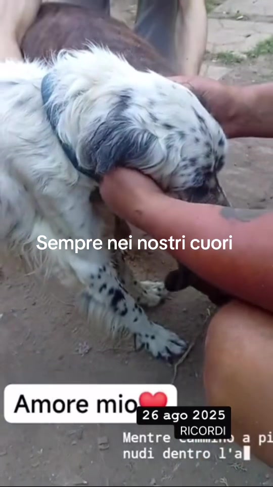 @mariadinverno837