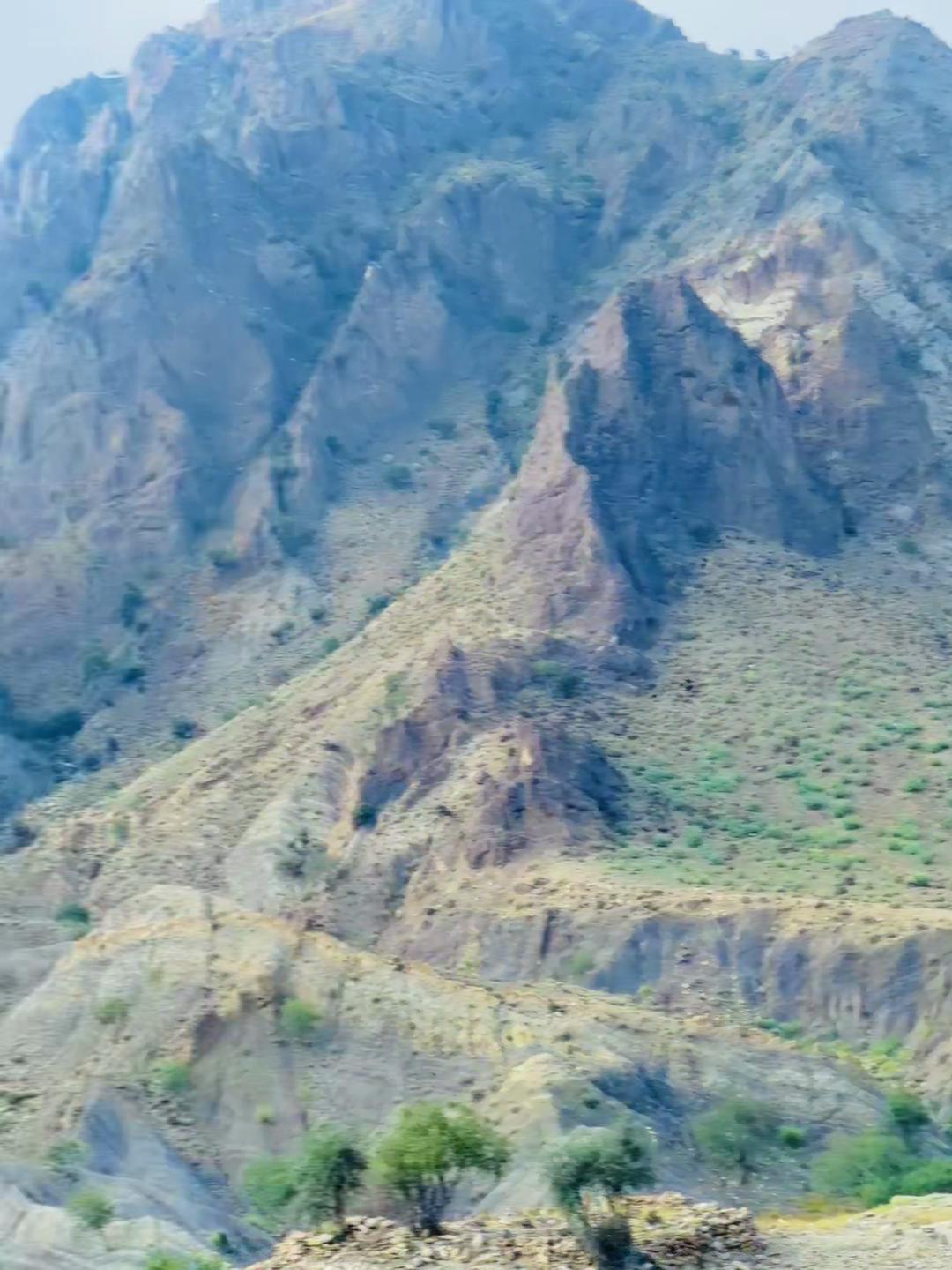@🚩 باغی میانی 🚩