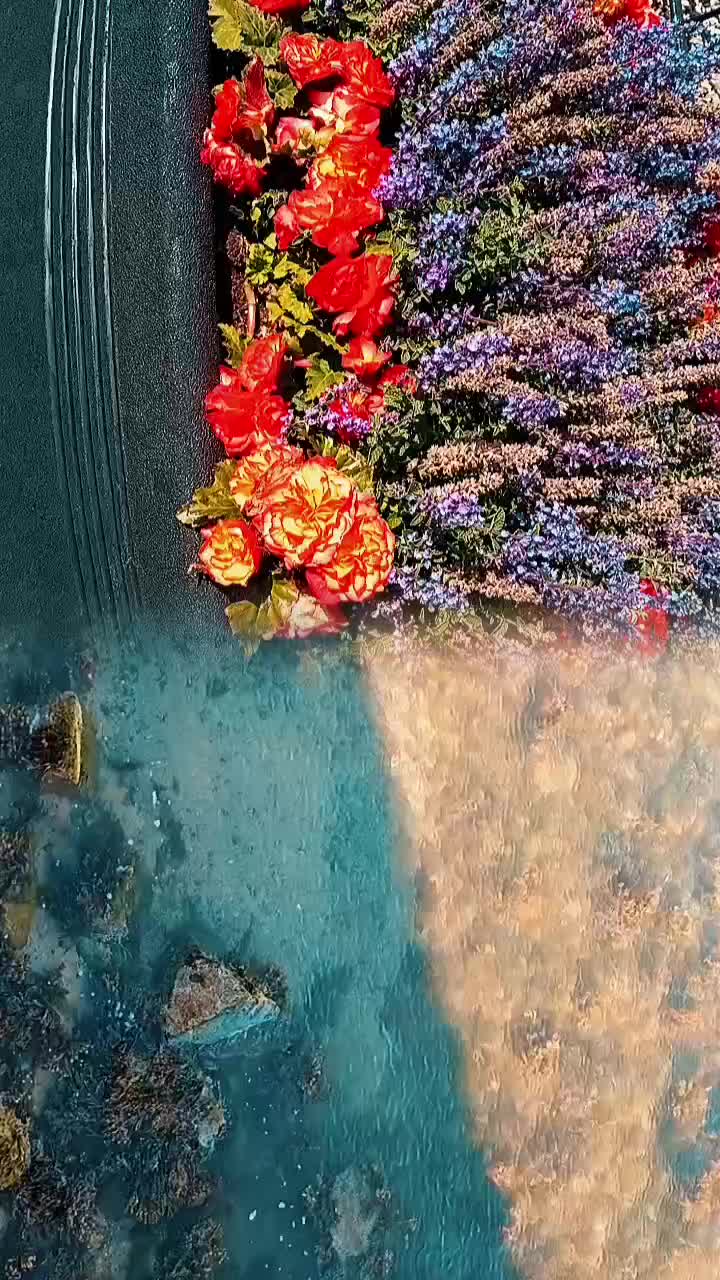 @o.Uncle-Chuck.O