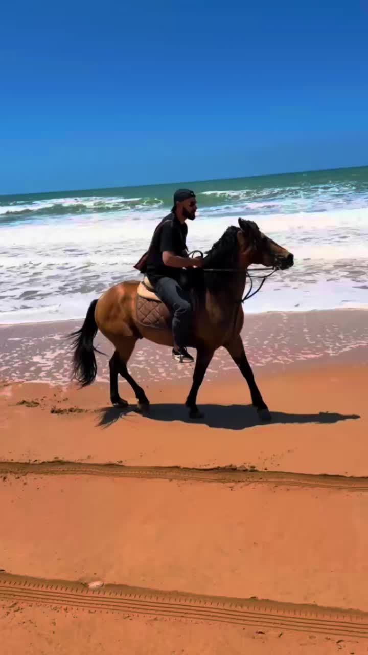 @Jimo_06