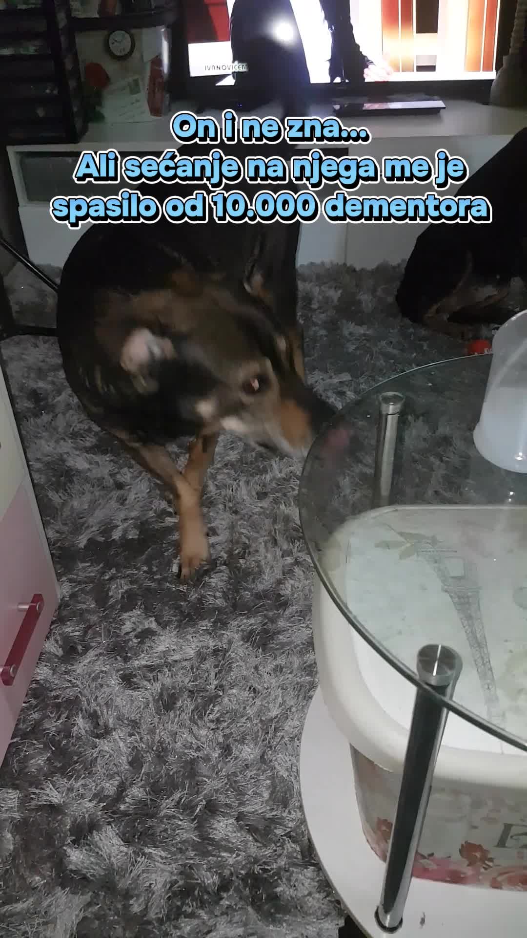 @✎ᝰ.