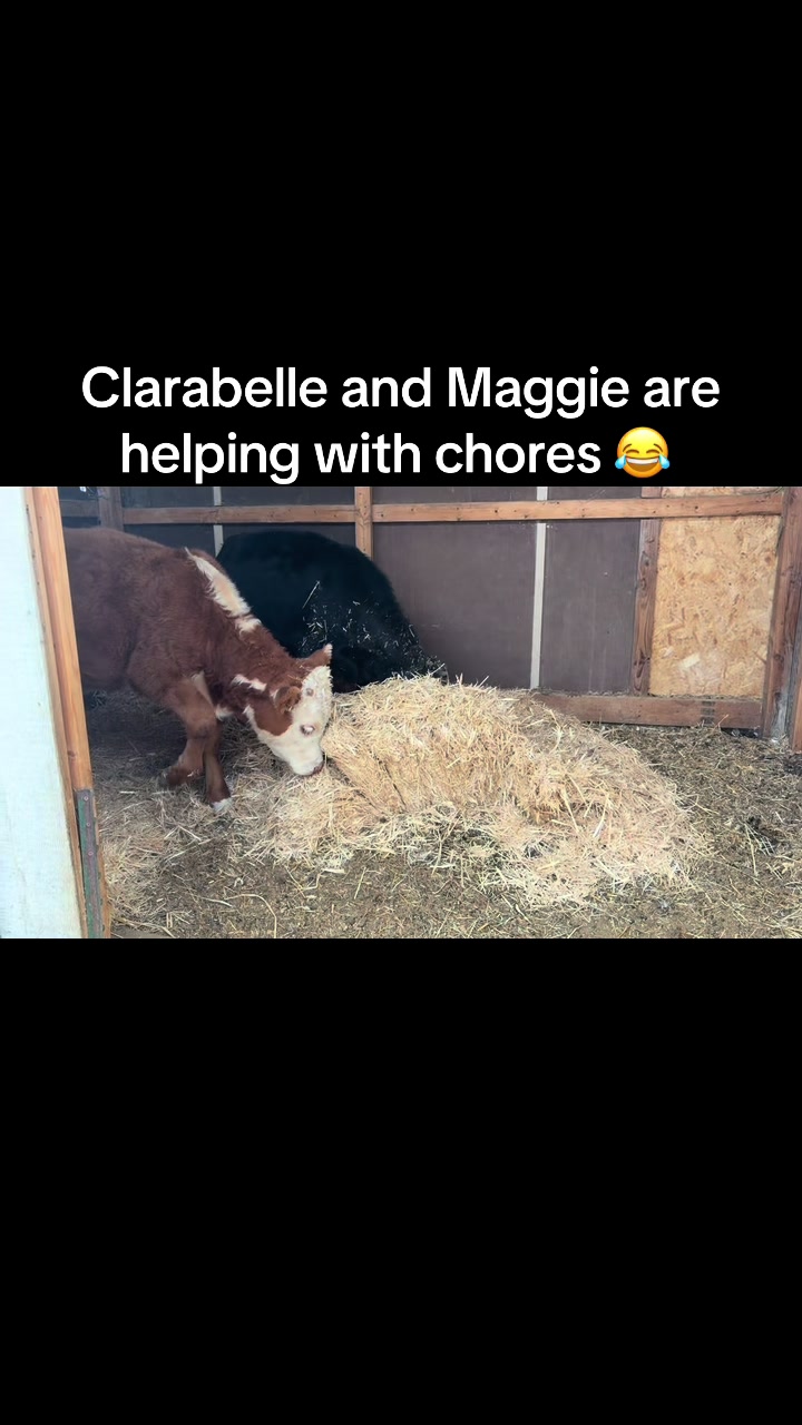 @WollamFarm