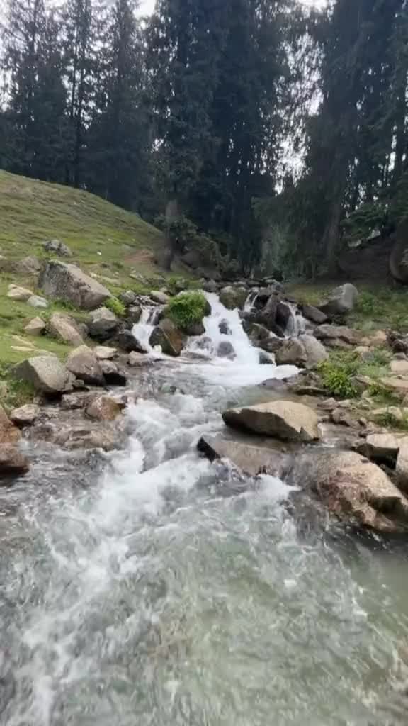 @شایان شاھ 💖