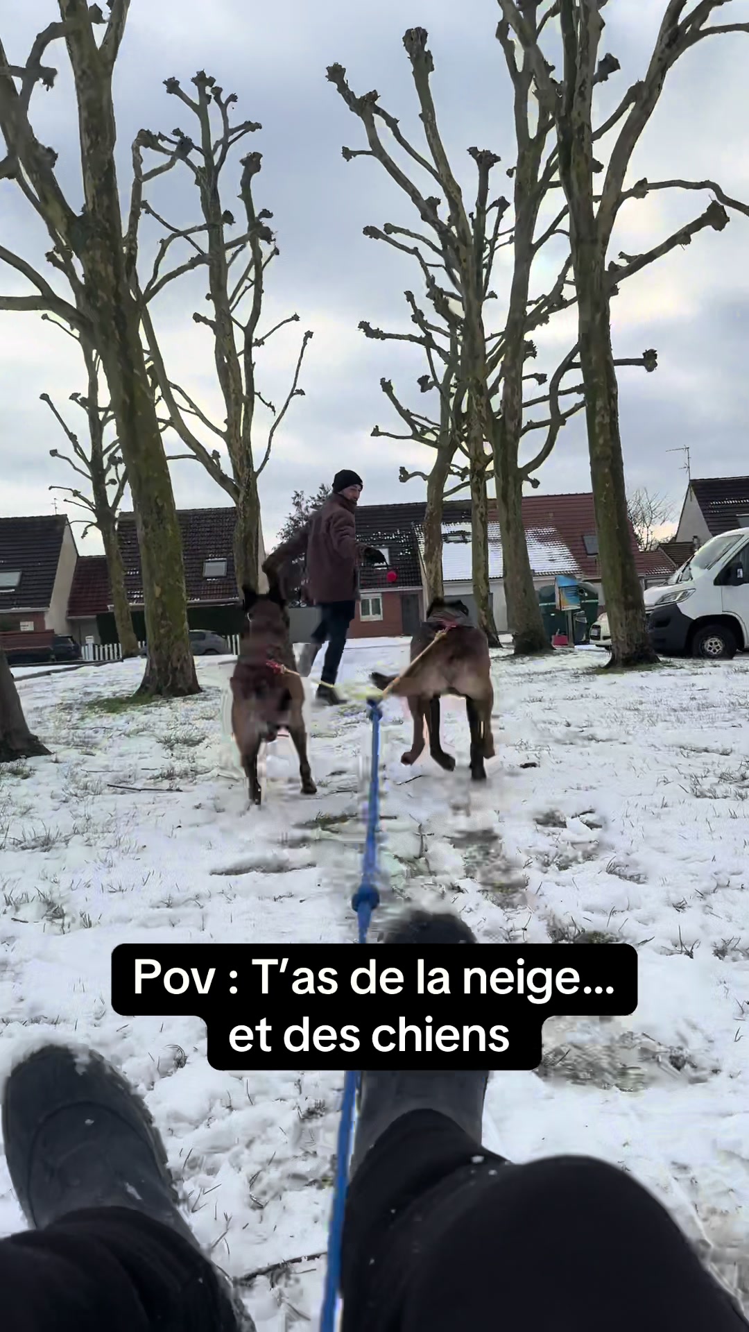 @Otha Malinois