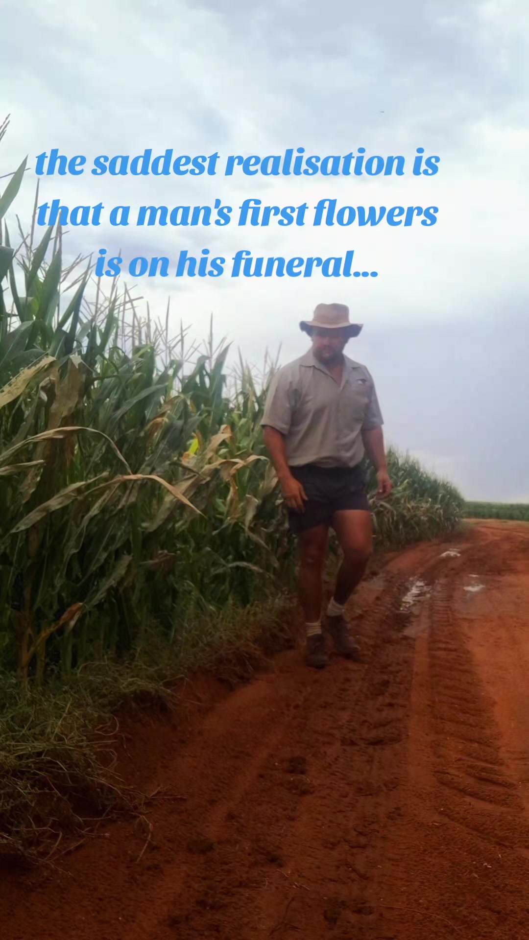 @Bees Strydom