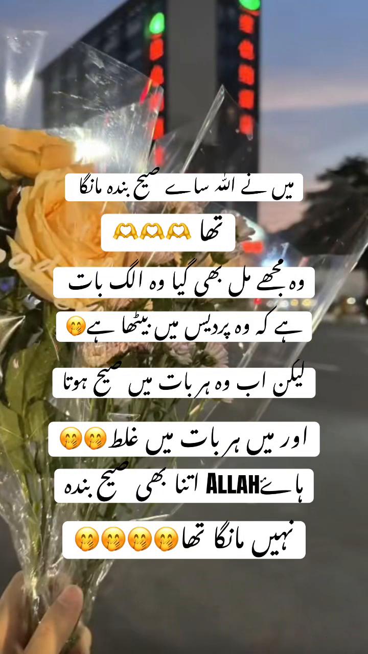 @Dil