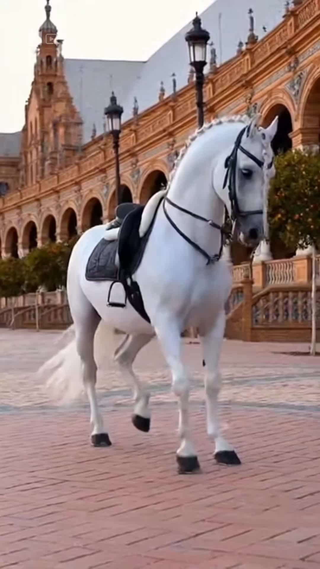 @lala