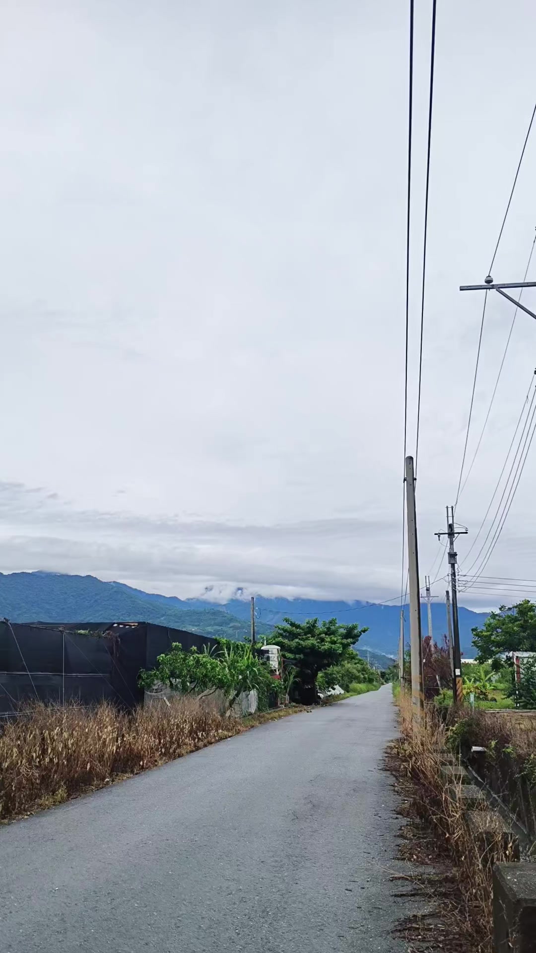 @曾國華(牛奶)