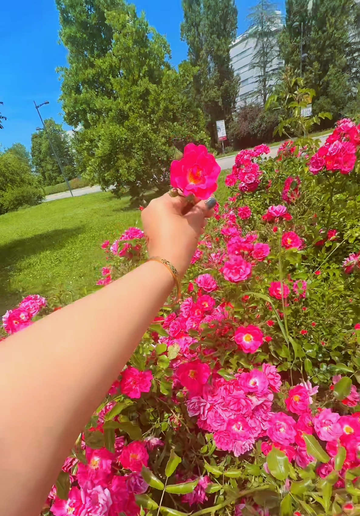 @🦋Jannat Khan❤️🇮🇹❤️
