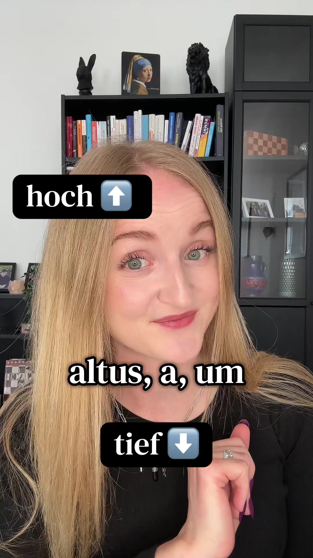 @Languaid - deine Sprachenhilfe