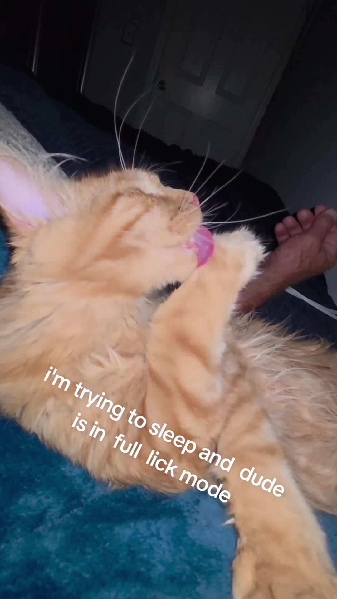 @uwslim