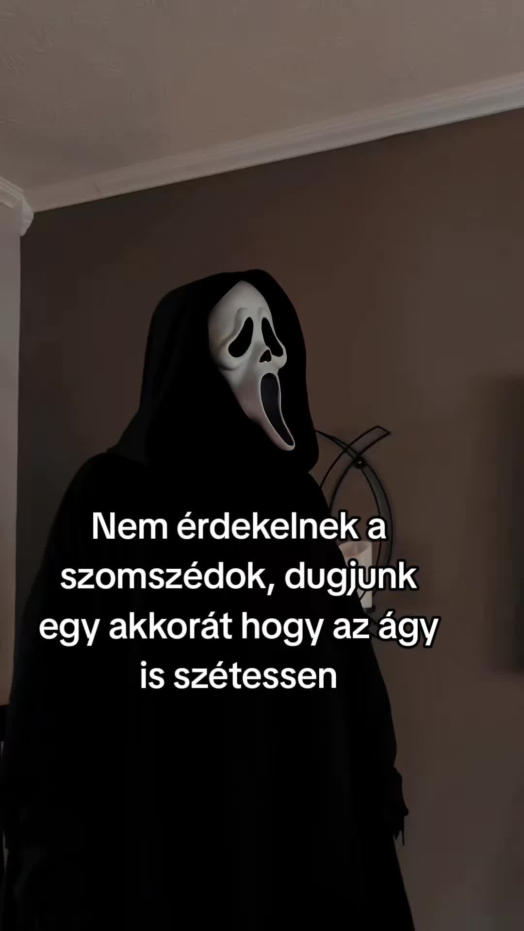 @Egyip_Tomii®