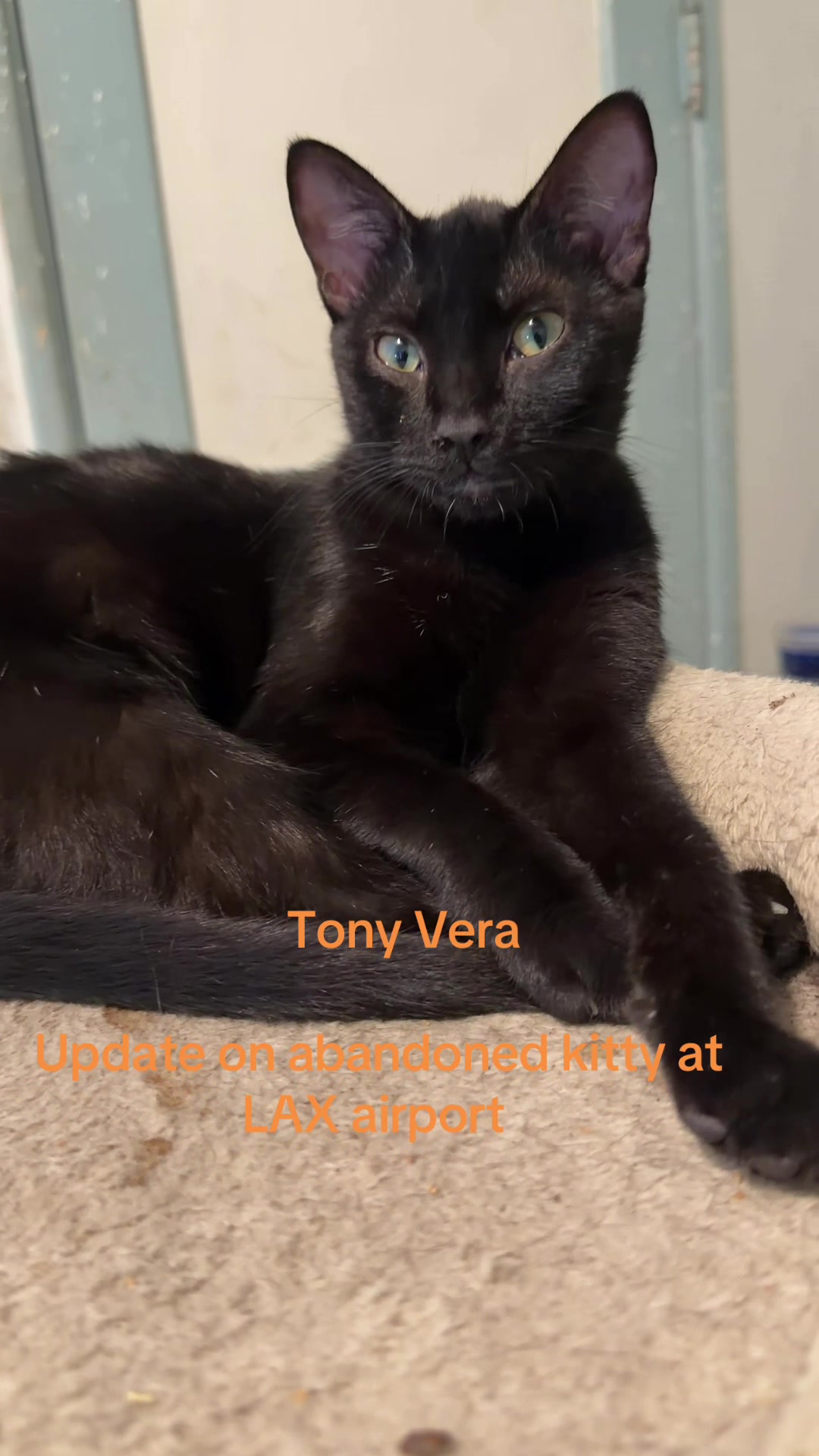 @Tonyvera TVNEWS