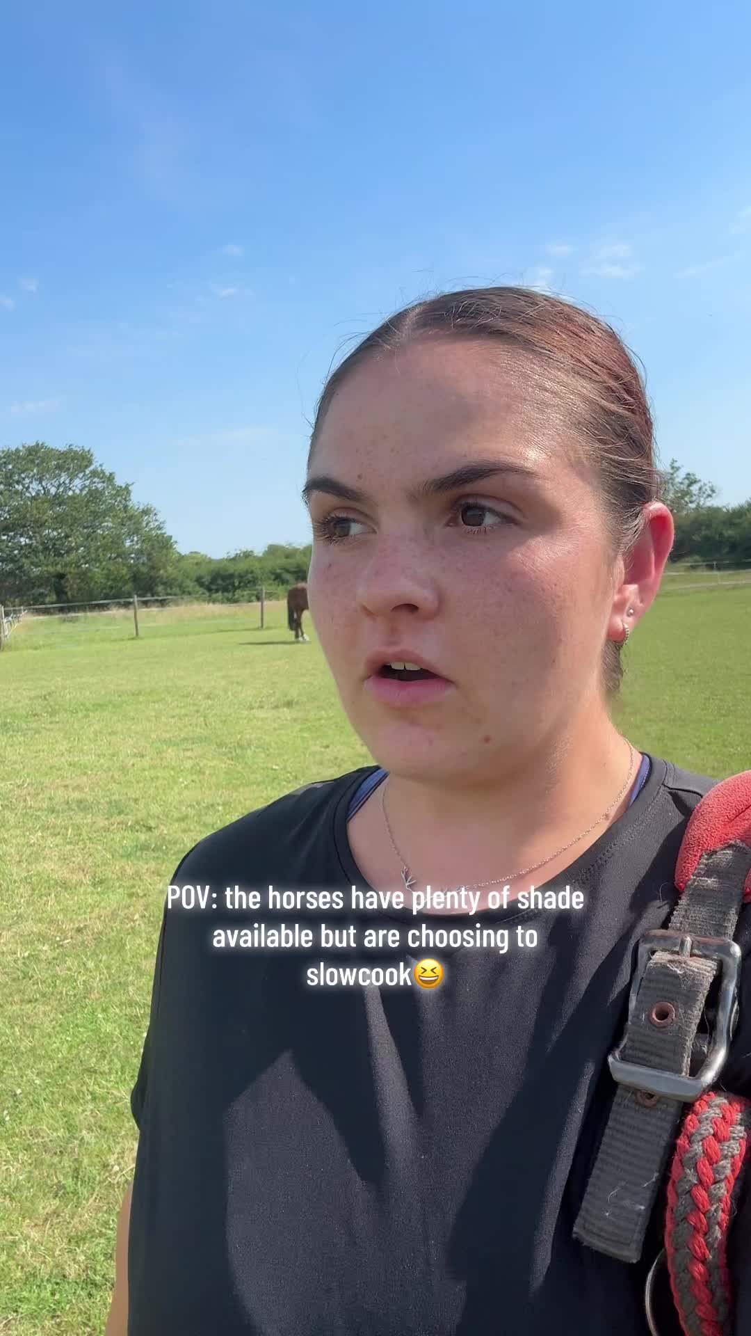 @Charlotte.Equestrian