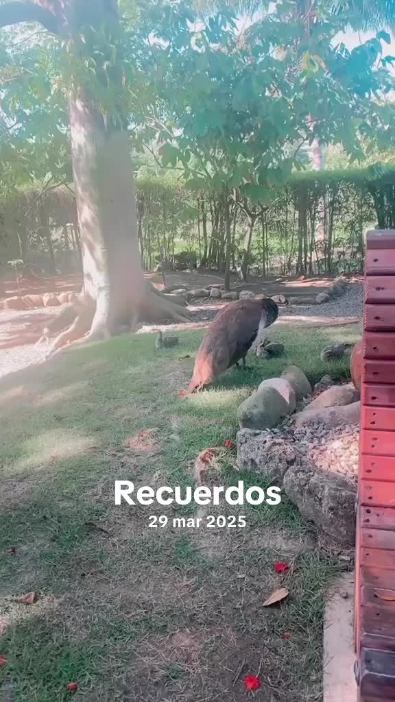 @Karina Rosario
