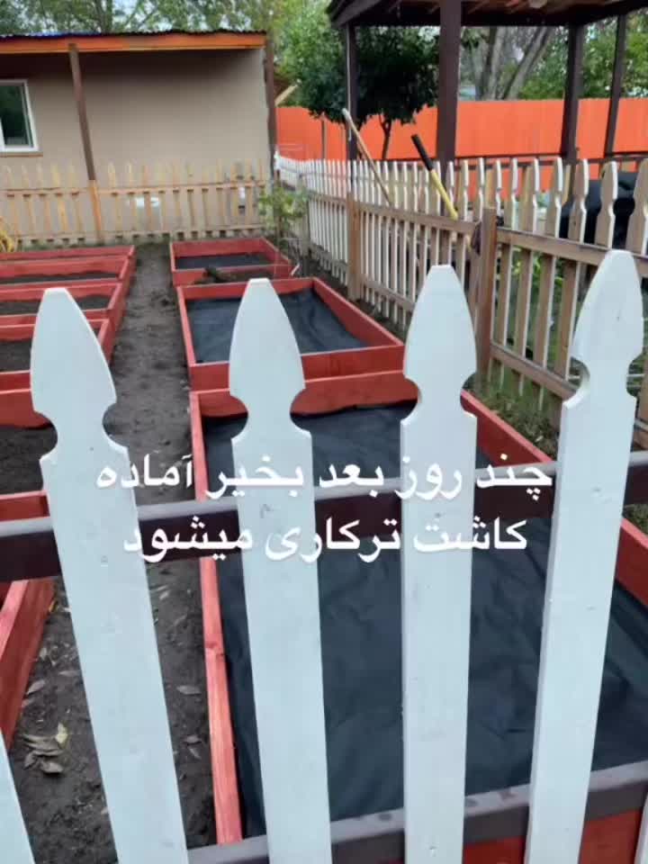 @Rahimi