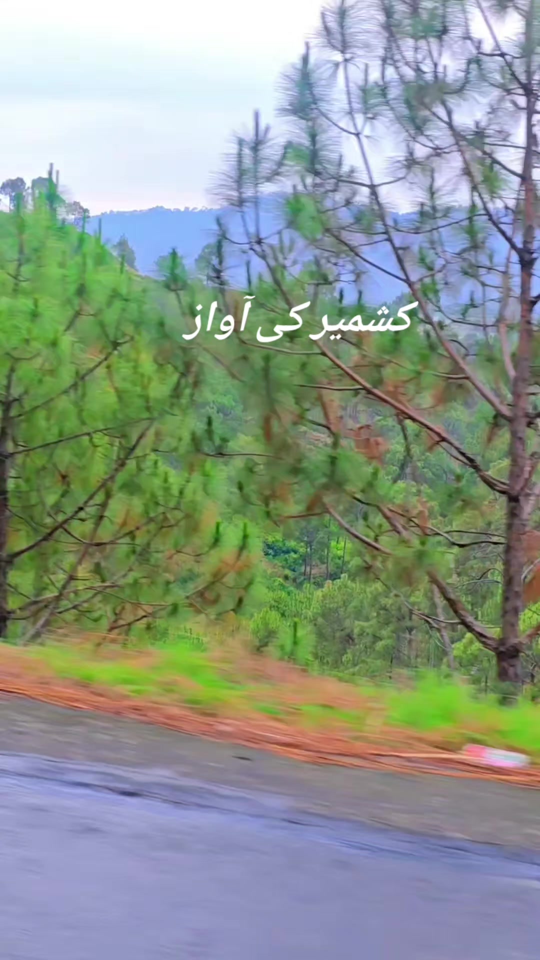 @Syed zaadi