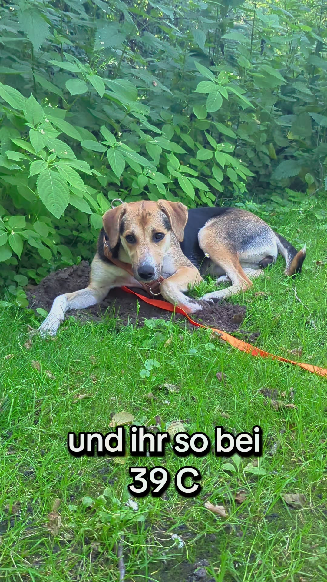 @ꪑⅈꪶꪖ ꪑꪮꪀᥴꫝꫝⅈᥴꫝⅈ