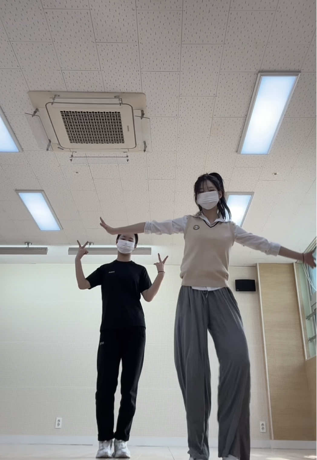 @죠팝나무