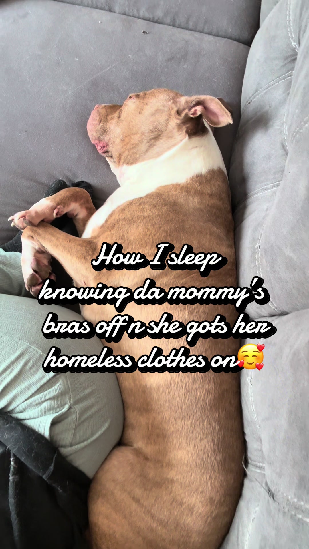 @Darcy&Norm 🌈Mags🌈Boss🌈Sadi