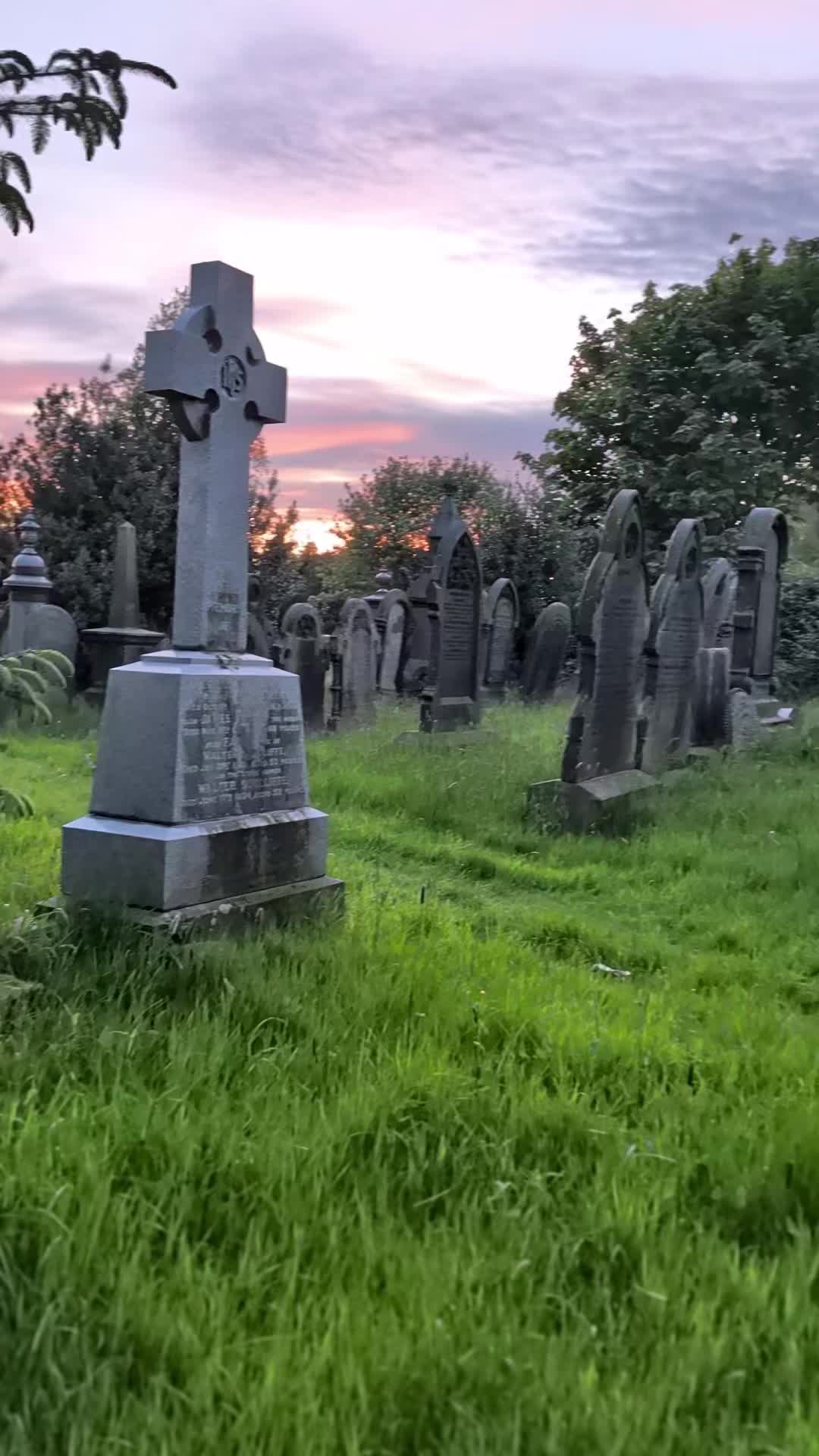@GraveSnape🪦