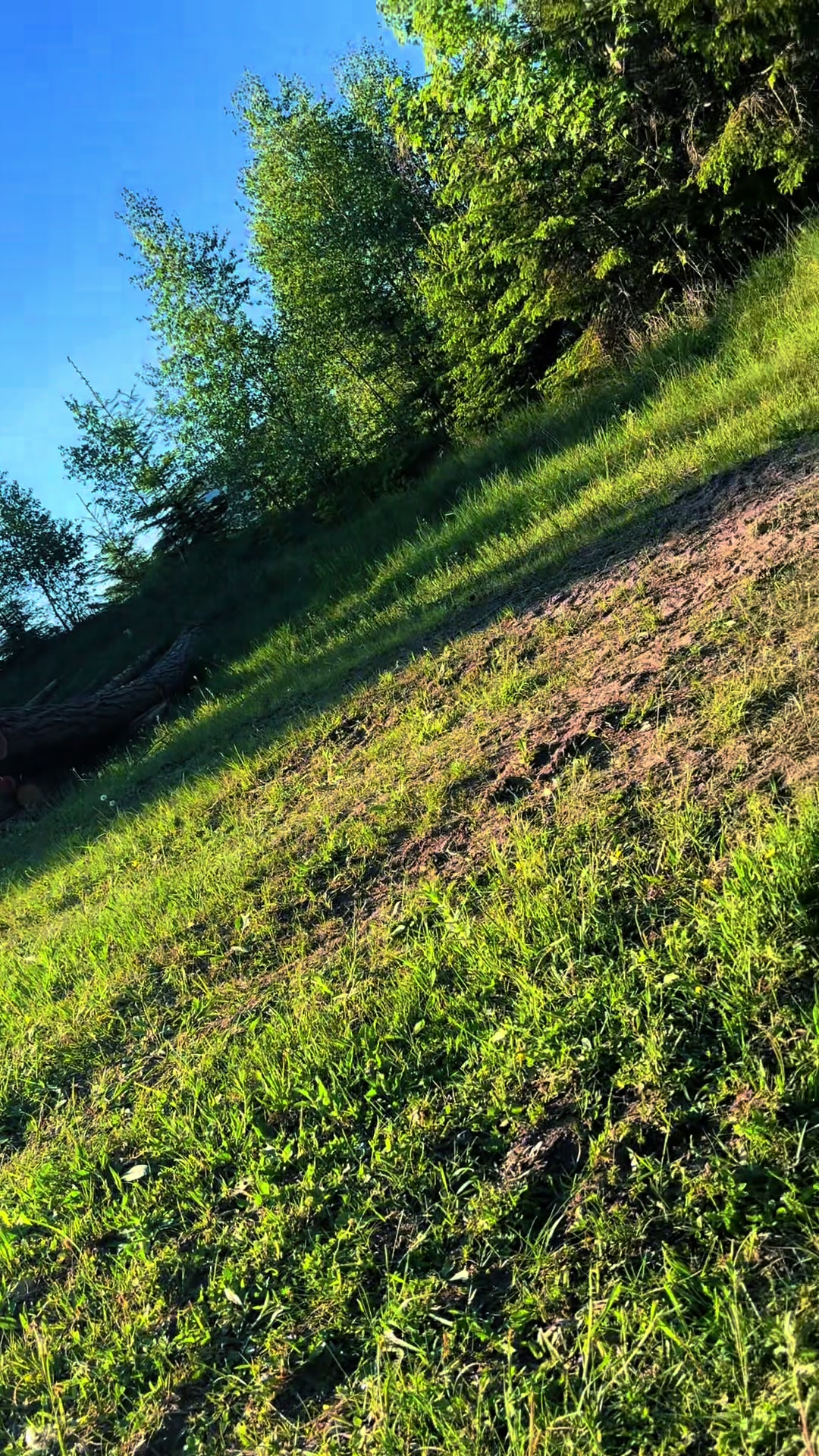 @Agrarius 🌲🇦🇹