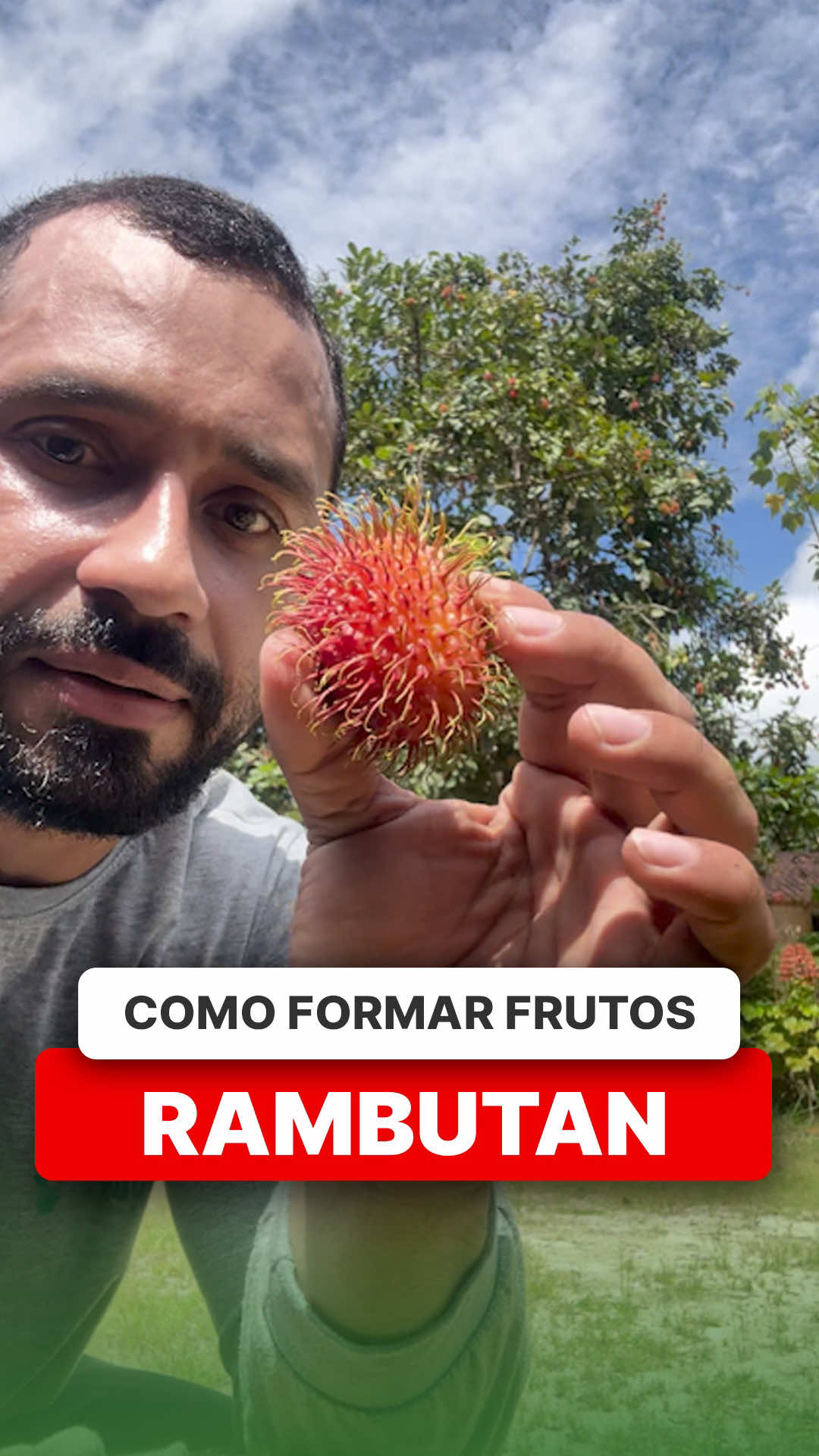 @ViveiroProMudas